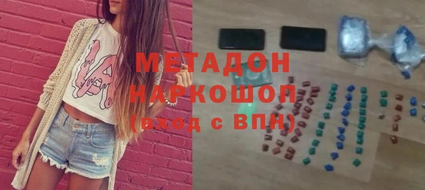 прущие грибы Корсаков