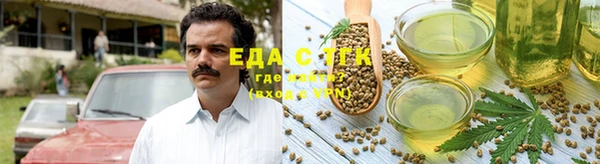 прущие грибы Корсаков