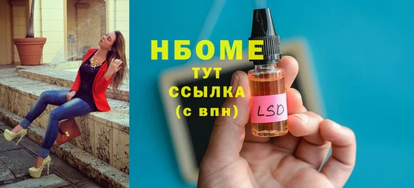 прущие грибы Корсаков