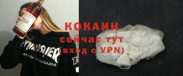 прущие грибы Корсаков