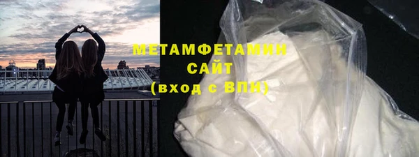 прущие грибы Корсаков