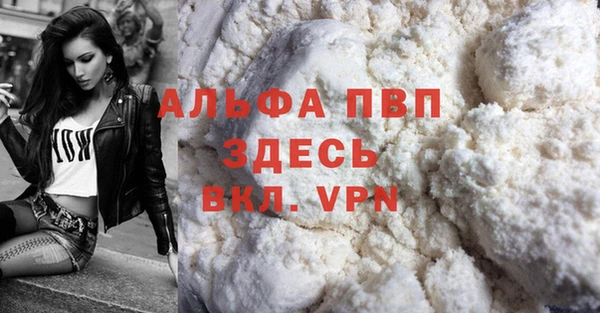 ГАЛЛЮЦИНОГЕННЫЕ ГРИБЫ Козловка