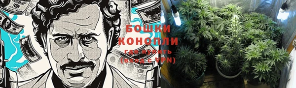 ГАЛЛЮЦИНОГЕННЫЕ ГРИБЫ Коряжма