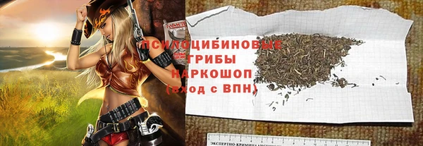 дживик Костерёво
