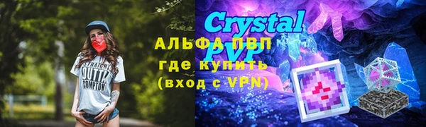 ГАЛЛЮЦИНОГЕННЫЕ ГРИБЫ Коряжма