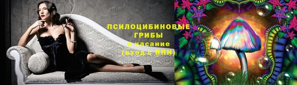 дживик Костерёво