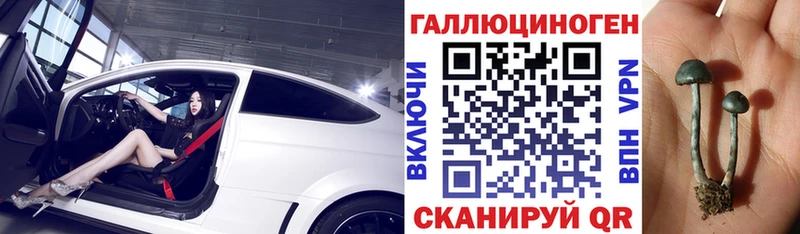 Псилоцибиновые грибы мухоморы  купить наркоту  MEGA рабочий сайт  Красавино 